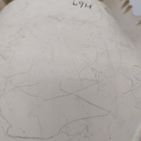 Honda Dio AF18 AF25 Front Lower Main Panel - White