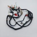 Honda Today Wiring Loom (AF61)
