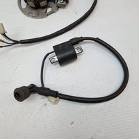 Vmoto Milan2 Ignition Coil & Stator