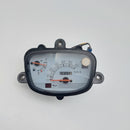 Suzuki Verde Speedo Cluster