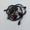 TNT Roma Main Wiring Loom (New/Sport Model)