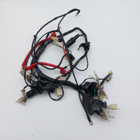 Vmoto Milan Wiring Loom / Harness